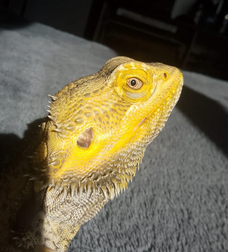 Memorial photo of Ernie