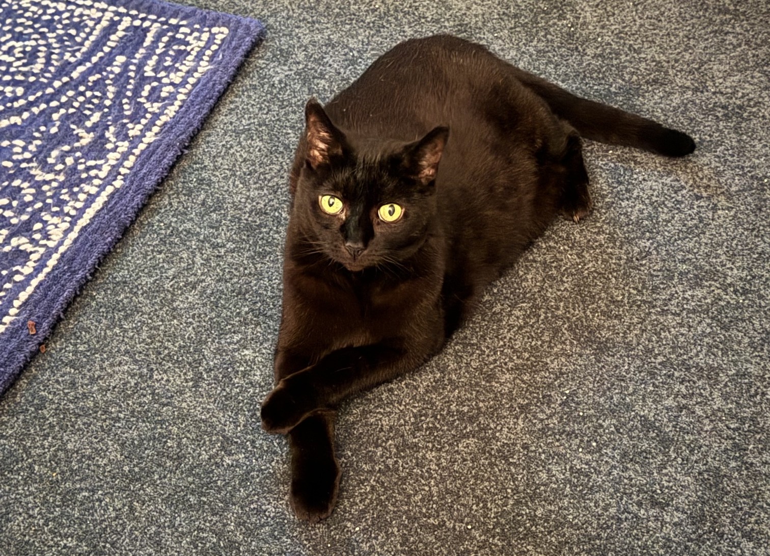 Memorial photo of Myrtle