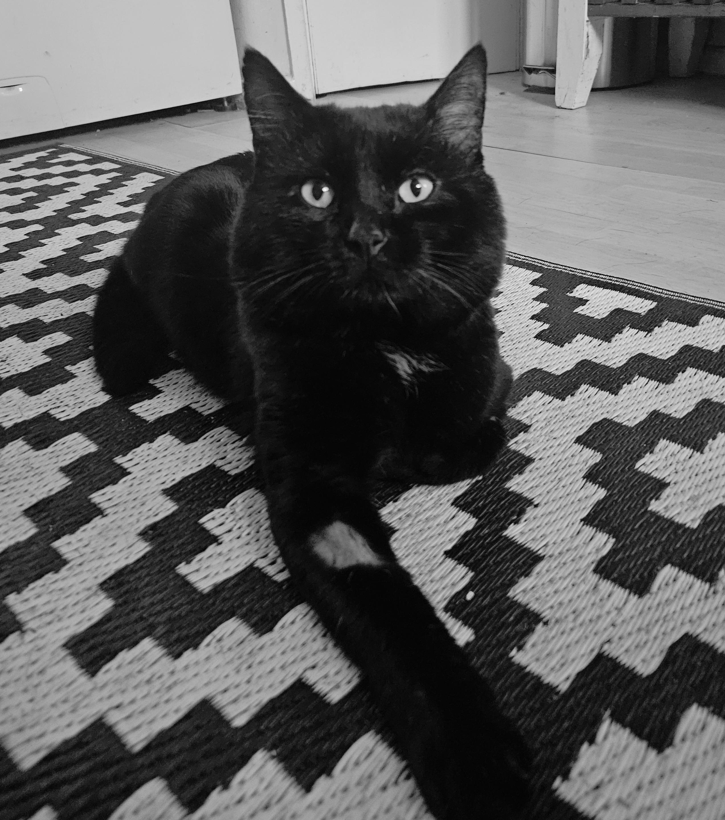 Memorial photo of Meatloaf